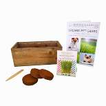 Hortiki Plants Organic Pet Grass Kit