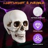 Yescom Yesocm 4 Pcs Life Size Skeleton Skull Halloween Realistic Human Model Moving Jaw Outdoor Indoor Decorations - 3 of 4