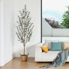 DR.Planzen 5-7FT Artificial New Style Olive Plants with Realistic Leaves and Natural Trunk, Silk Fake Potted Tree for Office Home Decor - 4 of 4