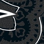 houston texans