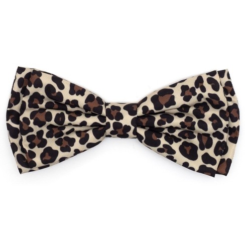 Leopard dog store collar with bow