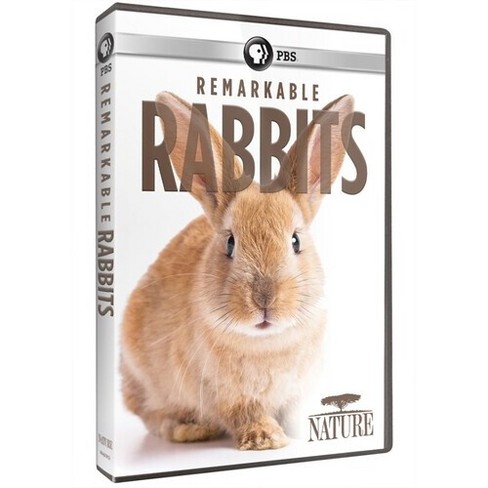 Nature: Remarkable Rabbits (dvd) : Target