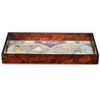 Cheung's Emerson Wood Glass Topped Terrarum Map Tray - 3 of 4