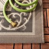 Courtyard CY7427 UV & Stain Resistant Non-Shedding Power Loomed Indoor/Outdoor Rugs - Safavieh - 3 of 4