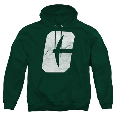 University of North Carolina at Charlotte Official Distressed Primary Adult Pull-Over Hoodie
