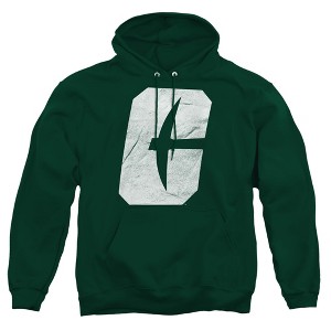 University of North Carolina at Charlotte Official Distressed Primary Adult Pull-Over Hoodie - 1 of 4