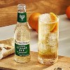 Fever Tree Ginger Ale - Premium Quality Mixer - Refreshing Beverage for Cocktails & Mocktails 200ml Bottles - image 2 of 4