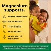 Nature Made High Absorption Magnesium Glycinate 200mg Supplement Capsules - 60 Count - 2 of 4