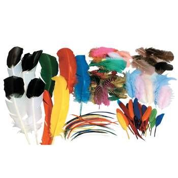 Creativity Street Non-Toxic Peacock Feathers, 35 to 40 Inches, Pack of 12