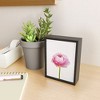 Cassia Beck Ranunculus Flower Framed Mini Art Print - Society6 - 2 of 3