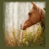 Juniors Womens Lost Gods Horse in Pasture Racerback Tank Top - 2 of 4