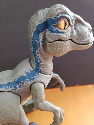 primal pal blue target