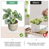 Unique Bargains Ceramic Durable Indoor Decorative Plant Saucer 2 Pcs - 4 of 4