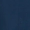 insignia blue