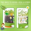 Klever Kits 2 in 1 Root Viewer Kit for Kids - Grow Your Own Plant, Interactive Plant Growing Kit, Educational Garden Set for Boys Girls Age 6+ - 3 of 4