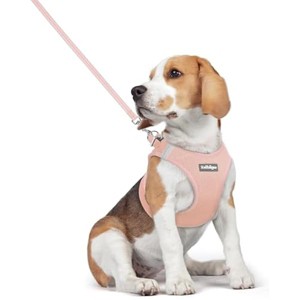 rabbitgoo Dog Harness Small Medium Sized and Leash Set, Step in Soft Light Puppy Pet Harness, Reflective for Safe Outdoor Walking, Pink L - 1 of 1