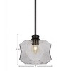 Toltec Lighting Rocklin 1 - Light Pendant in  Matte Black with 8.75" Smoke Shade - 2 of 2