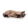 Hauspanther Bamboleos Cat Toys by Primetime Petz Playtime Pleasures for Every Furry Friend - 3 of 4