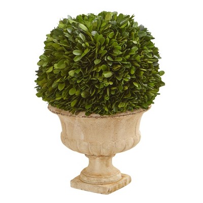 Nearly Natural 12” Boxwood Topiary Ball Preserved Plant in Decorative Urn