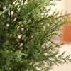 DR.Planzen Faux Cypress Topiary Trees for Outdoors, Fake Cypress Trees for Home Decor Office Living Room Porch Patio Perfect Housewarming Gift - 3 of 4