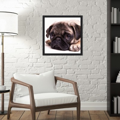 Sad Sack Pug Framed Canvas Print in Black Frame