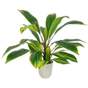 Northlight 25" Dracaena Artificial Potted Plant - Green/White