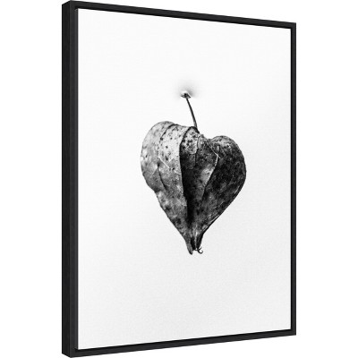 Amid the Flowers Black and White Botanical Canvas Print 18 x 24