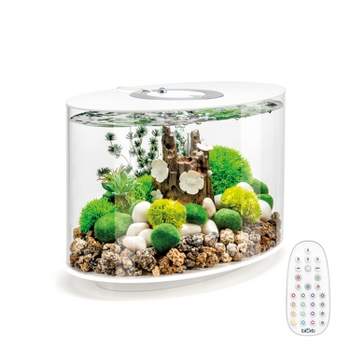 biOrb LOOP 15 Aquarium with MCR Light - 4 Gallon, White