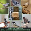 Uncle Dunkels Winter Bird Nesting Box, Handcrafted Wood Winter/Summer Outdoor Shelter - 4 of 4