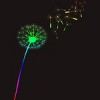 Adult Design By Humans Pride Dandelion Rainbow Flower Wish By T-Shirt - 2 of 2