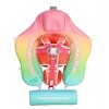 Mambobaby Trendy Voyager Gradient Pool Loungers - Rainbow - 2 of 4