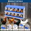 10 Compartment Chicken Nesting Box – Heavy-Duty Galvanized Steel, Rustproof Design with Easy Egg Collection, Wall Mountable for Backyard Farms - 4 of 4