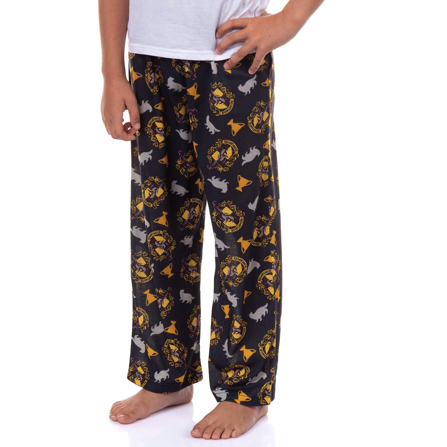Harry Potter Pajamas Boy's House Crest Icons Lounge Pj Pants