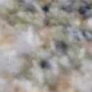 olive, light blue, tan, yellow