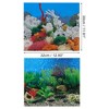 Unique Bargains Aquarium Background Poster Double-sided Fish Tank Background Decorative Pictures PVC 1 Pc - 4 of 4