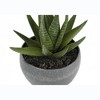 Vynxaria Set of 3 Faux Succulent Plants ¨C 6" Tall Indoor Greenery in Grey Cement Pots - 4 of 4