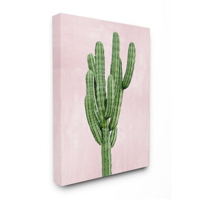 Stupell Industries Desert Cactus Plant Minimal Succulent Nature Pink Green