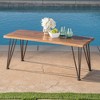 ACEPANO 43 in. W Modern Industrial-Style Coffee Table with Rosewood Top & Iron Legs-Brown - 4 of 4
