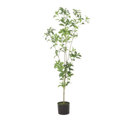 GlasFlength Artificial Plants Artificial Rubber Tree Artificial Pieris Tree Faux Plants for Indoor Home Decor, Green, 19.7"*19.7"*47.2"