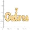 Black Bow Jewelry 10k Yellow Gold Florida Gators NCAA Medium Pendant - 2 of 3