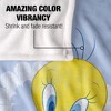 Looney Tunes Silky 50X60 Blanket, 1 Sided - 4 of 4