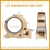 Large Silent 6-in-1 Cat Exercise Wheel with Cat House, Bowl & Shelf, 55'' Indoor Cat Running Wheel for Training-3irtyhousy - 4 of 4