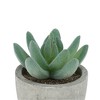Unique Bargains Artificial Plants Large Mini Pulp with Cactus Finger Plastic 2.36"x2.36"x3.35" 1 Pc - 4 of 4