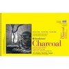 Strathmore 300 Series Charcoal Pad, Top Wire Binding, 32 Sheet, 11x17 inch, Pack of 2 - 2 of 2