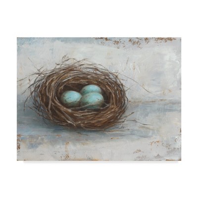 Rustic Bird Nest with Blue Eggs Canvas Art, 14x19