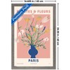Trends International Reinders: Flowers - Plantes Fleurs Paris Framed Wall Poster Prints - 3 of 4