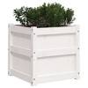 vidaXL Garden Planter White 19.7"x19.7"x19.7" Solid Wood Pine - 4 of 4
