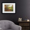 Trademark Fine Art - Leslie Montgomery A Stroll Along the Gorge Matted Framed Art - 2 of 4