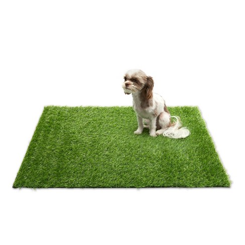 Green grass puppy pads hotsell