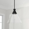 Capital Lighting Paloma 1 - Light Pendant in  Textured Black - 4 of 4